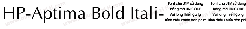 HP-Aptima Bold Itali字体转换